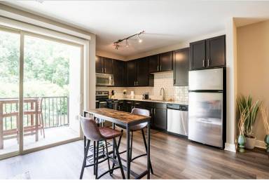 Apartment Pet-friendly Providence Park