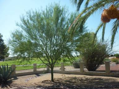 House Cottonwood Ranch