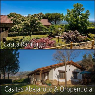 Apartamento Candeleda