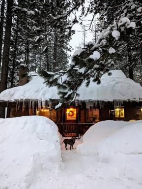 Hut South Lake Tahoe
