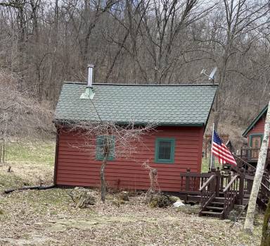 Cabin Lansing
