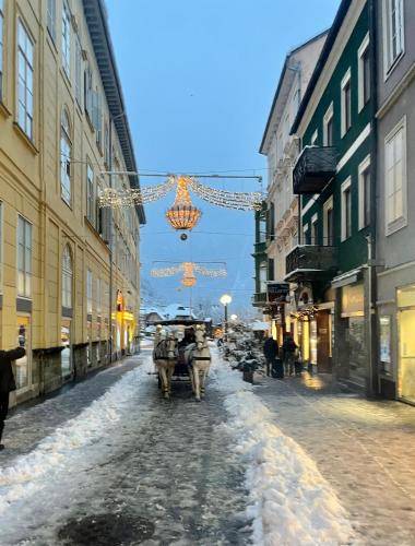 Ferienwohnung Bad Ischl