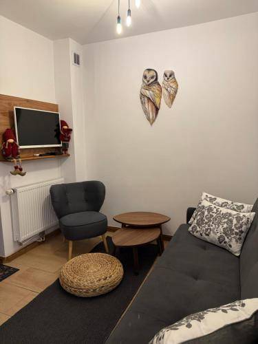 Apartament Zieleniec Ski Arena