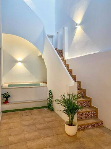 House Faro