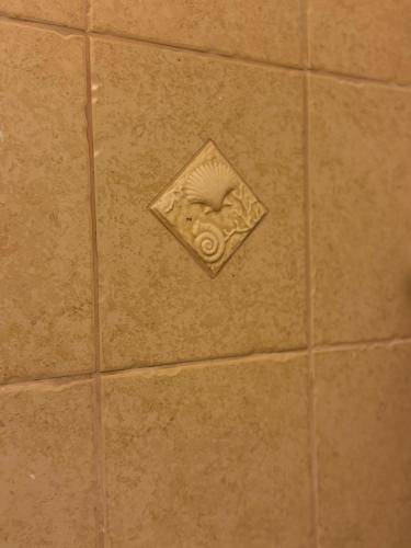 Hotel Zuco — photo 4