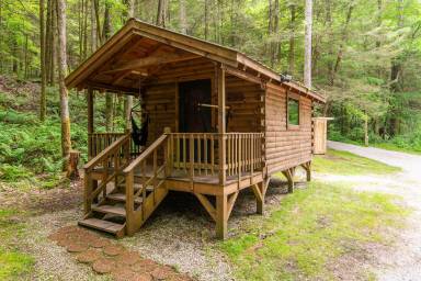 Cabin Rogers