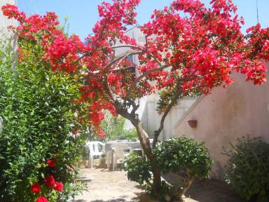 Casa San Foca