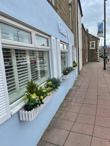 Bed and breakfast Newbiggin-by-the-Sea