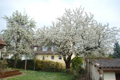 66 m² Ferienwohnung