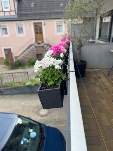 24 m&sup2; Apartment mit Hotelservice