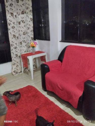 foto6