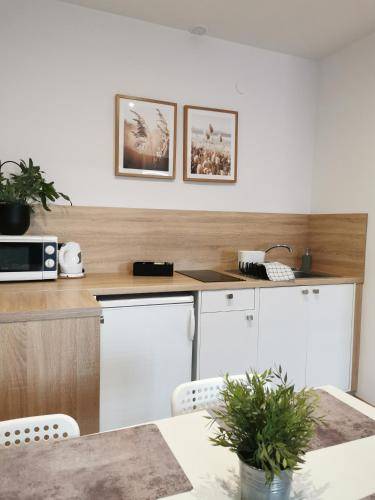 Apartament Uniejów