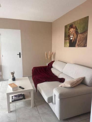 Appartement  Tarbes