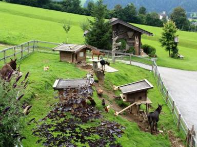 Ferienwohnung Pool Itter