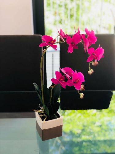 foto10