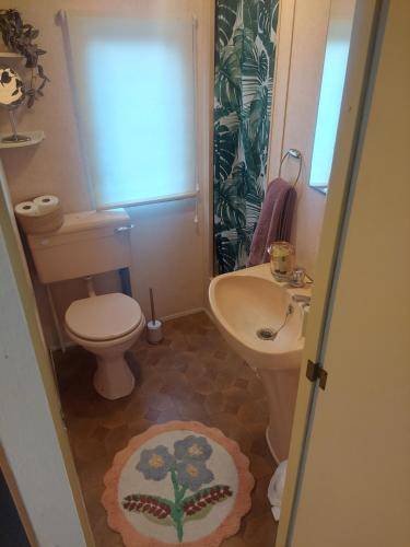 foto4