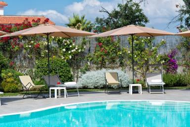 Bed & Breakfast Pollena Trocchia