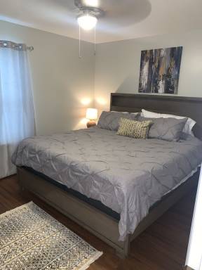 Apartment Newton