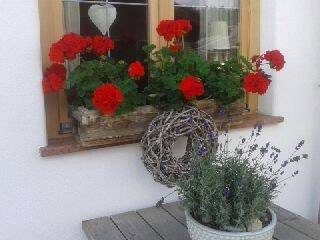 foto29