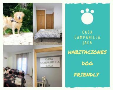 Bed & Breakfast Jaca