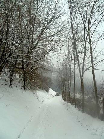 Bed & Breakfast Canal San Bovo