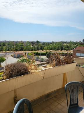 Alloggio Terrazza/balcone Riserva Naturale della Marcigliana