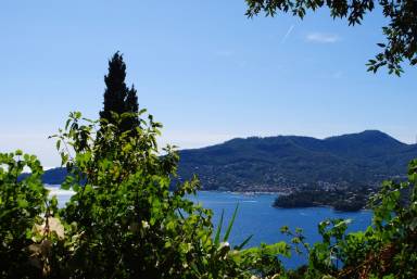 Ferienwohnung Klimaanlage Portofino