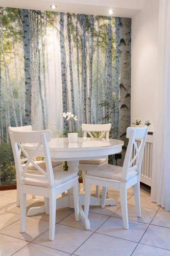 Bed & Breakfast  Bolonia