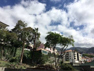 Appartement  Funchal