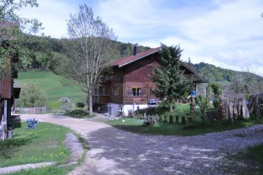 Apartment Uster District