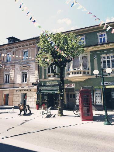 Ferienwohnung Bad Ischl