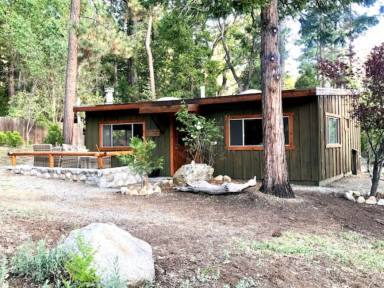 Cabin