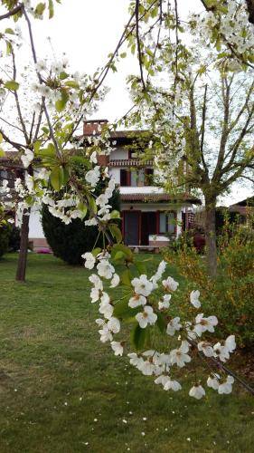 Bed & Breakfast Cavour