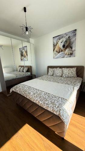 Apartament  Suwałki