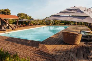 Apartment  Vieste