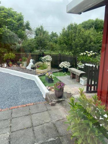 foto5