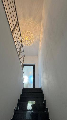 foto11