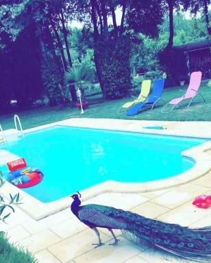 Loue maison de campagne avec piscine