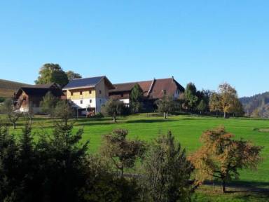 Bauernhof Bättwil