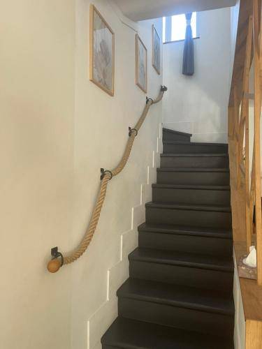foto11