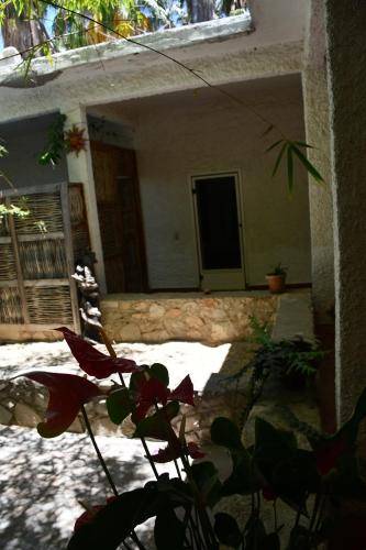 foto18