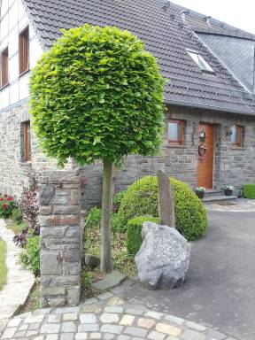 76 m² House
