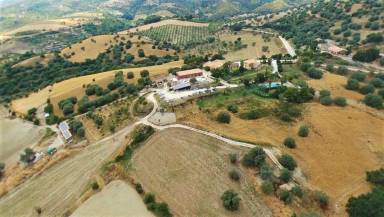 Agriturismo Giannavi: Camera matrimoniale