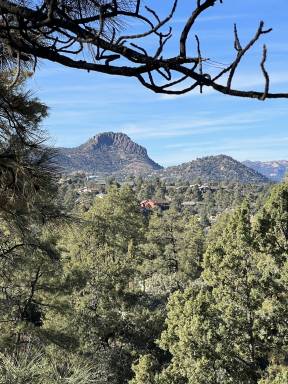 Cabin Prescott
