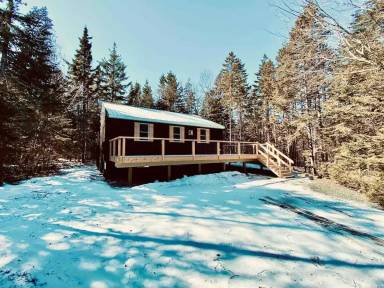 Cabin  Corea