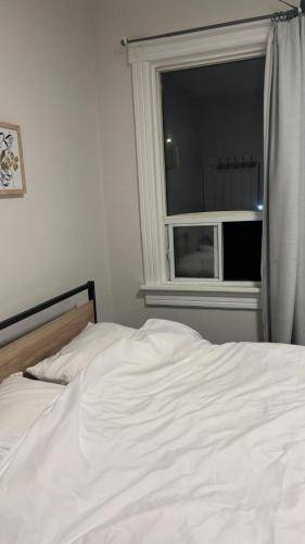foto11