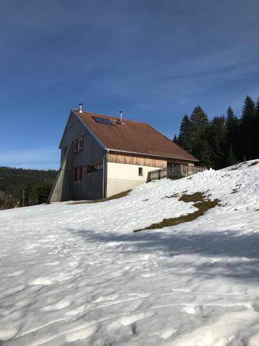foto16