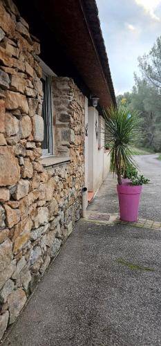 foto9