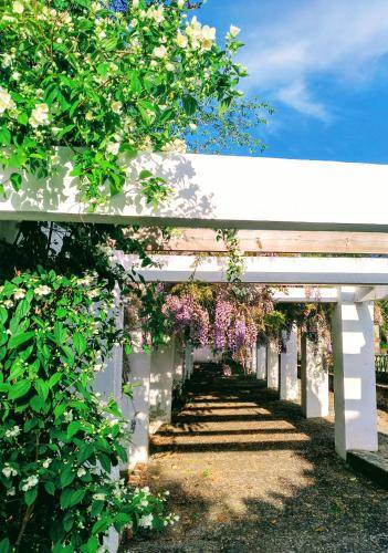 Bed & Breakfast Cáceres