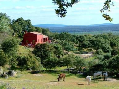 Casa de 400 m²